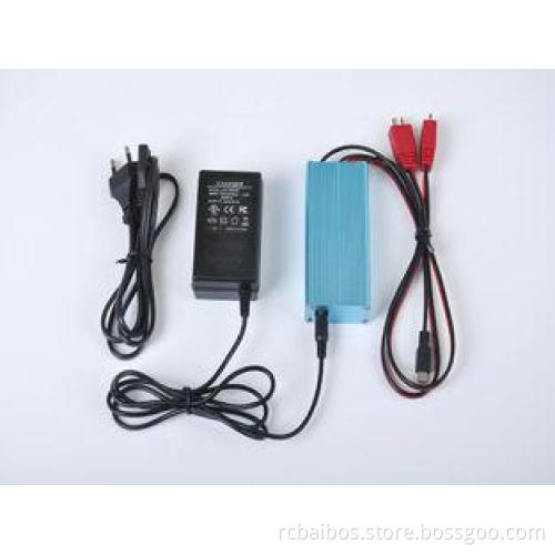 DC 5.5*2.1 Multifunctional Indoor Or Car Charger For Lithiu